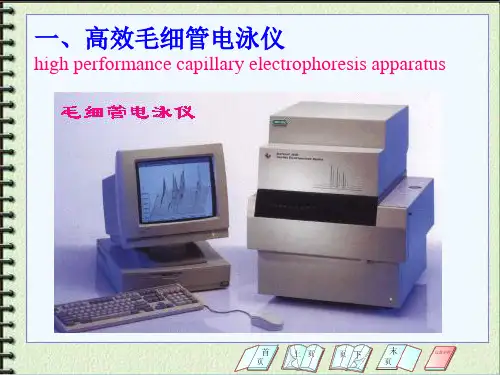 十一章节高效毛细管电泳分析法
