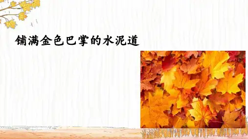 5.《铺满金色巴掌的水泥道》课件(共42张PPT)