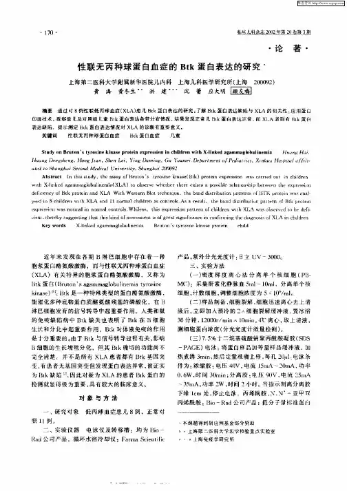 性联无丙种球蛋白血症的Btk蛋白表达的研究