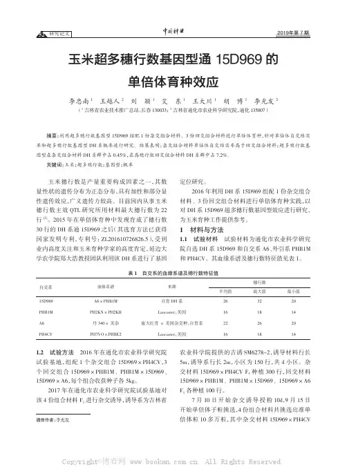 玉米超多穗行数基因型通15D969 的单倍体育种效应