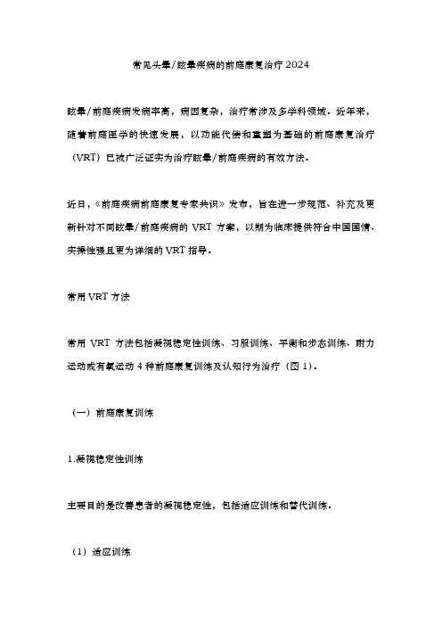 常见头晕眩晕疾病的前庭康复治疗2024