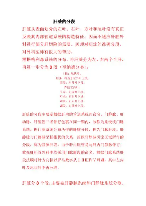 肝的分段