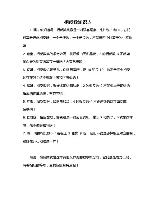 相反数知识点