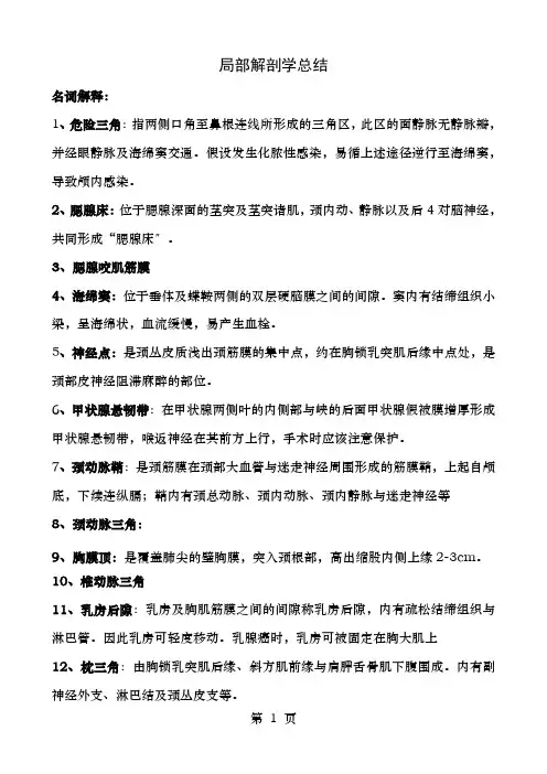 局部解剖学期末复习重点总结