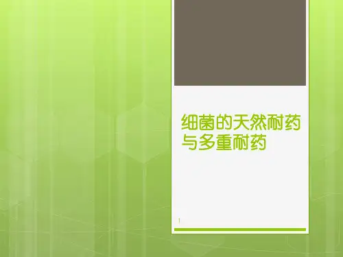 细菌的天然耐药与多重耐药