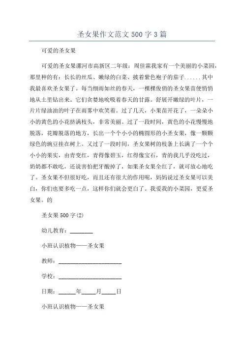 圣女果作文范文500字3篇