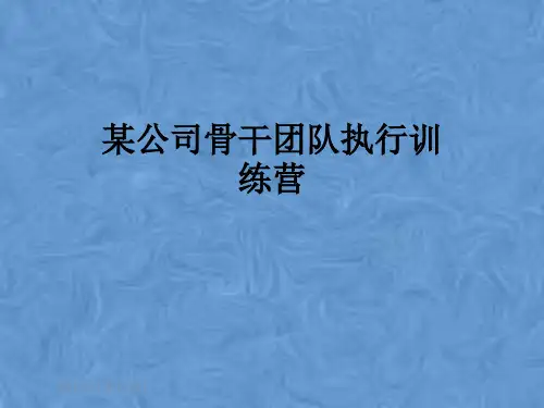 某公司骨干团队执行训练营