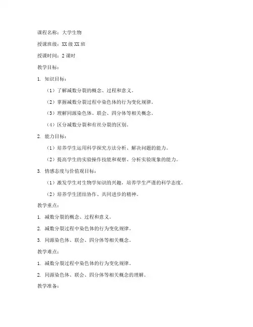大学的减数分裂教案