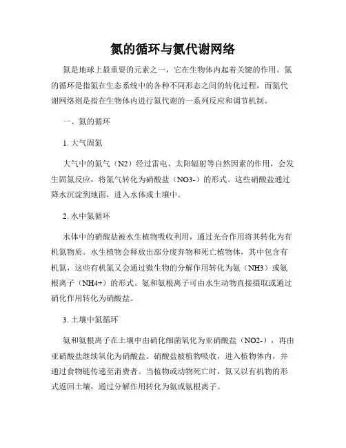 氮的循环与氮代谢网络