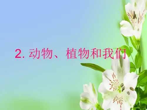 浙教版小学品德与社会二年级下册动物、植物和我们PPT课件(1)(1)