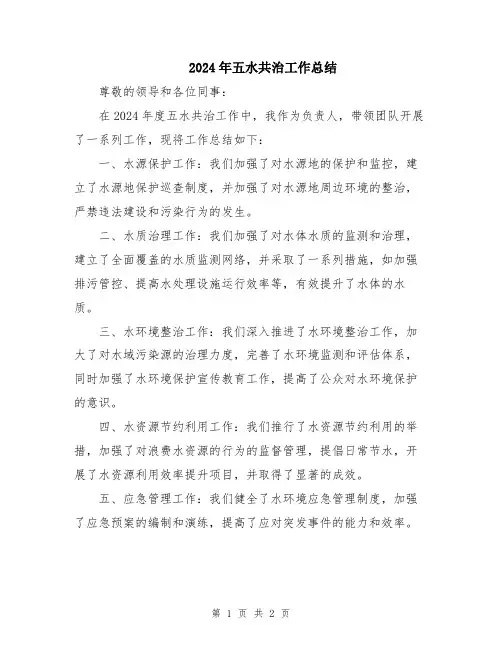 2024年五水共治工作总结