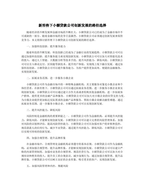 新形势下小额贷款公司创新发展的路径选择