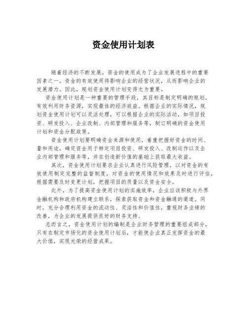 资金使用计划表 (5)