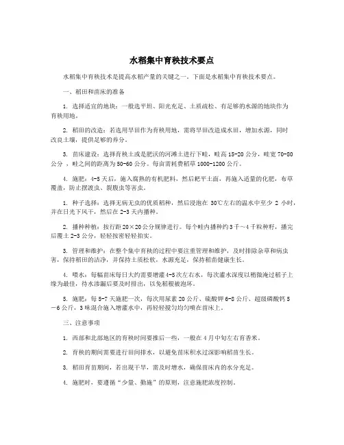 水稻集中育秧技术要点