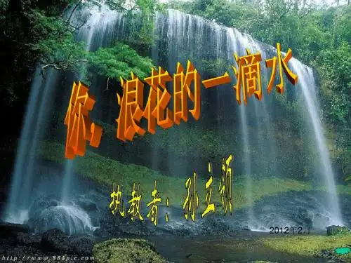 你,浪花的一滴水