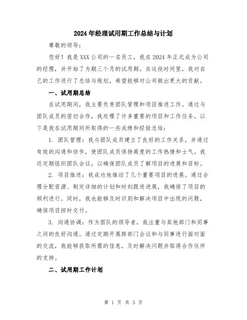 2024年经理试用期工作总结与计划
