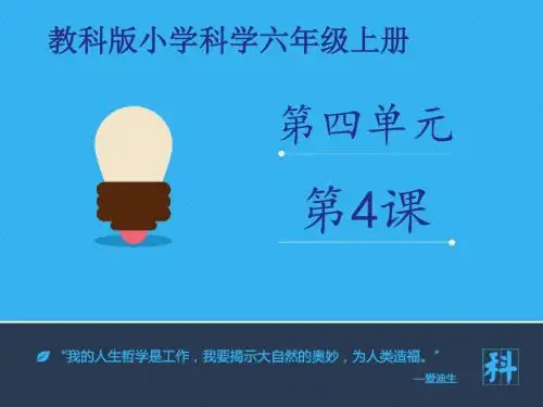 六年级上册科学课件-种类繁多的动物∣教科版 (共21张PPT)