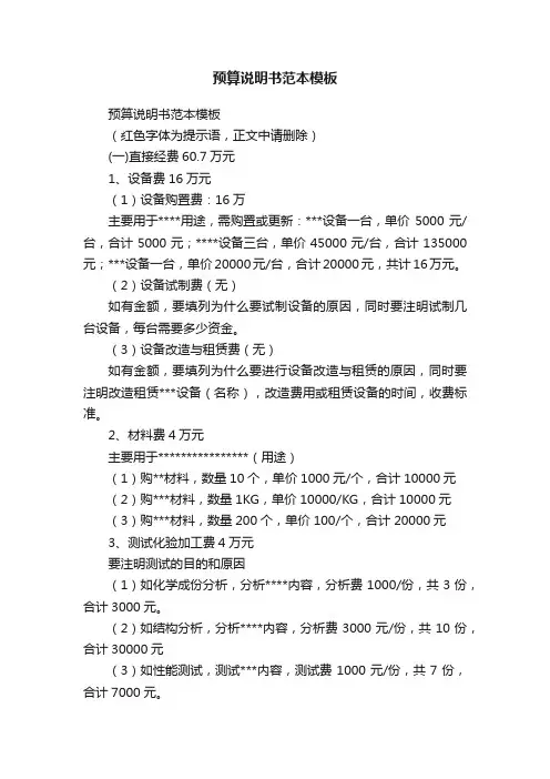 预算说明书范本模板