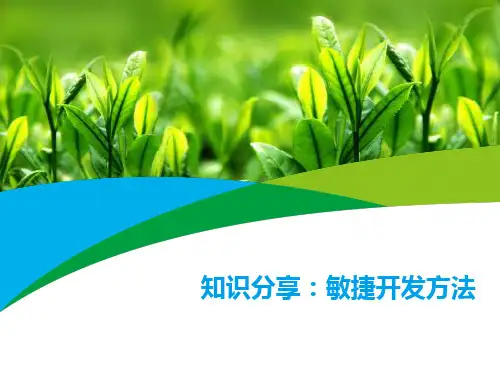 知识分享：敏捷开发方法