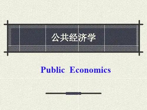 公共经济学(基本不需要
