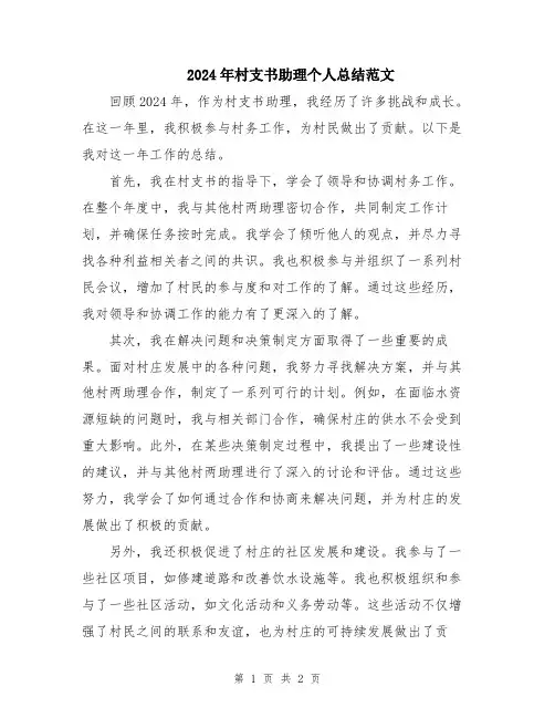 2024年村支书助理个人总结范文