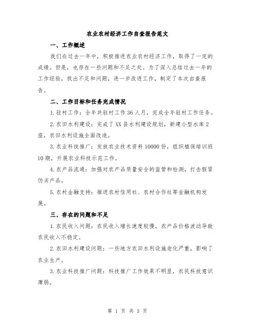 农业农村经济工作自查报告范文