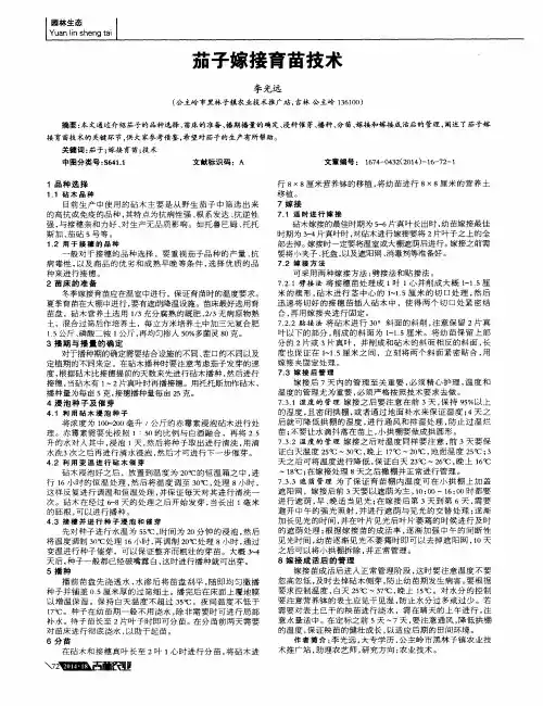 茄子嫁接育苗技术