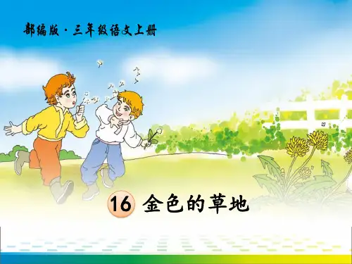 《金色的草地》PPT【完美版课件】
