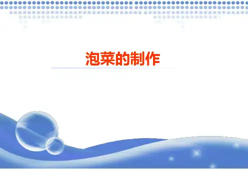 泡菜生产技术(发酵食品生产技术课件)