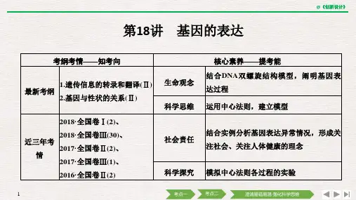 必修二 第六单元 第18讲 基因的表达