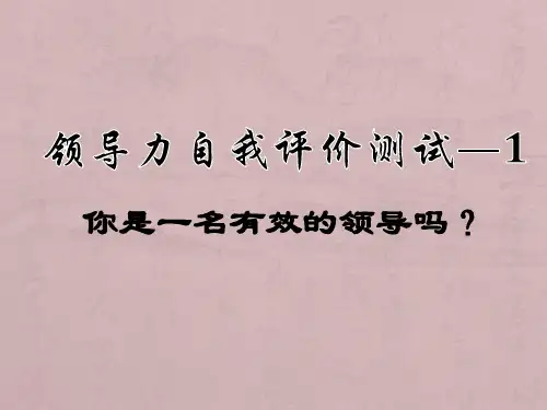 领导力之自我评价测试