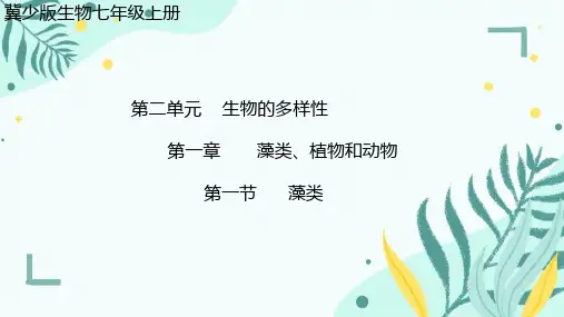 藻类植物ppt课件
