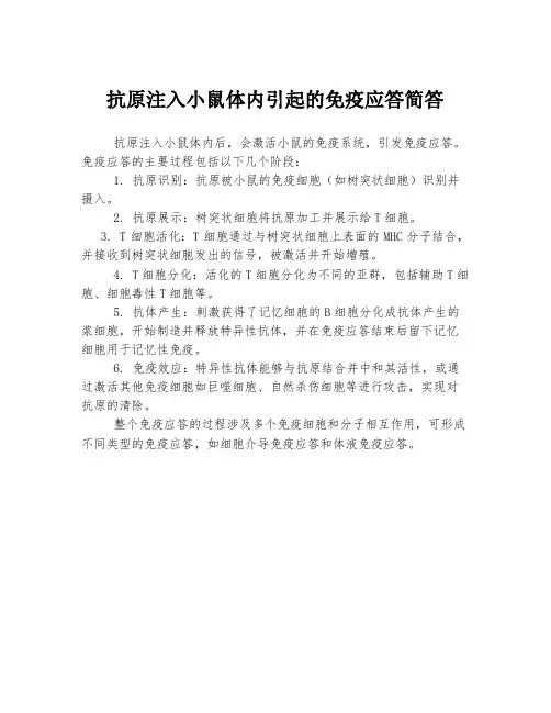 抗原注入小鼠体内引起的免疫应答简答
