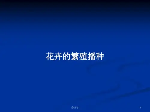 花卉的繁殖播种PPT教案