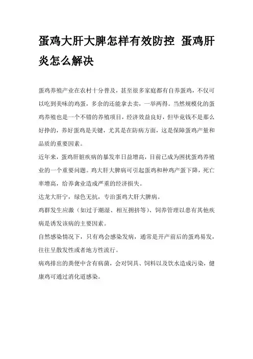 蛋鸡大肝大脾怎样有效防控 蛋鸡肝炎怎么解决