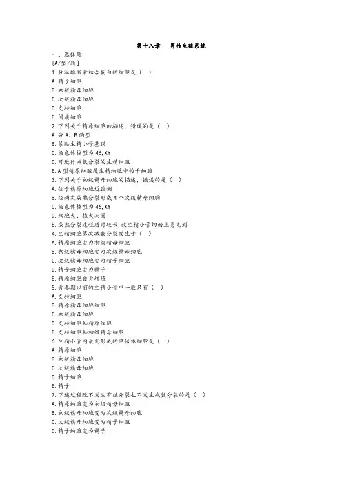 第十八章   男性生殖系统