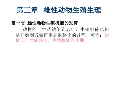 第三章   雄性动物生殖生理