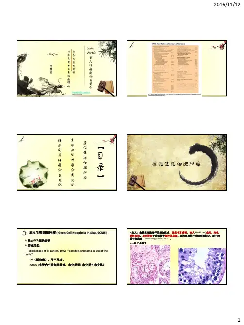 2016WHO睾丸肿瘤分类简介