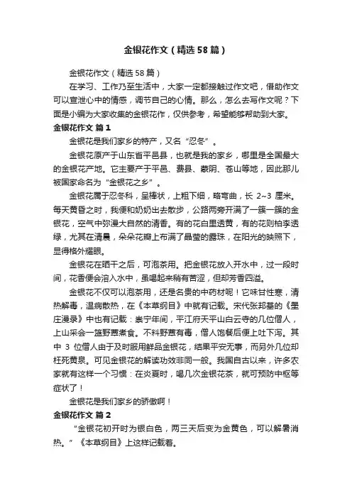 金银花作文（精选58篇）