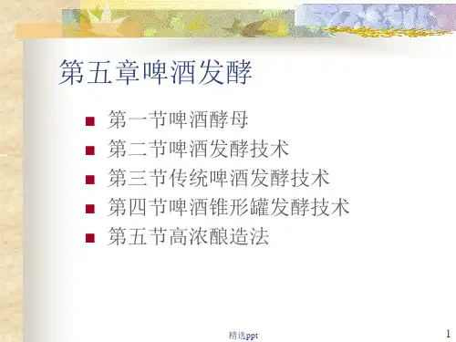 《啤酒发酵工艺》PPT课件