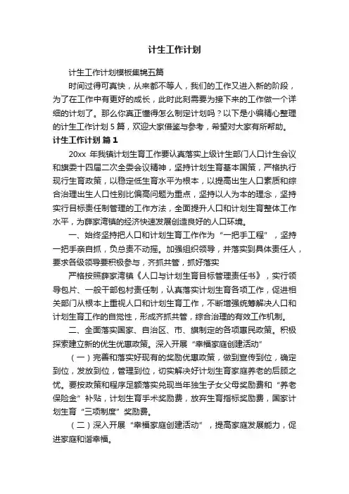 计生工作计划