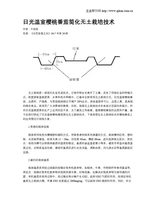 日光温室樱桃番茄简化无土栽培技术
