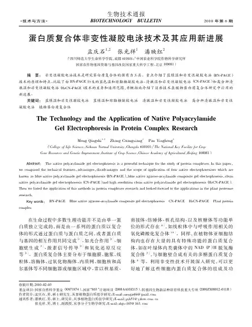 蛋白质复合体非变性凝胶电泳技术及其应用新进展汇总.