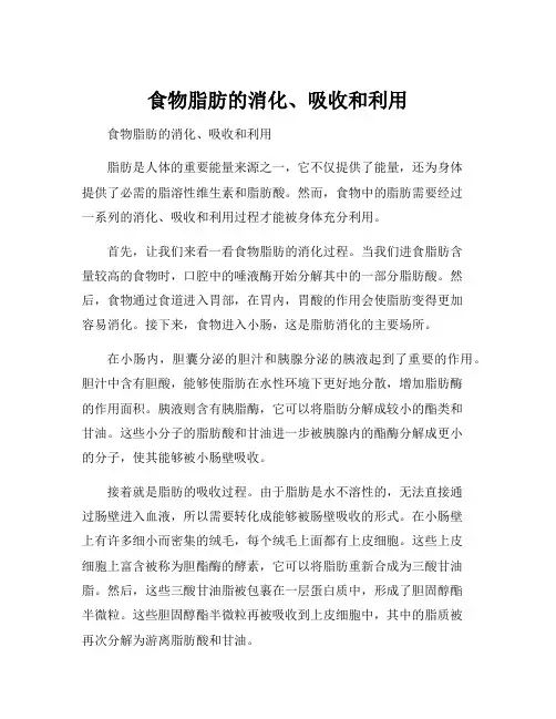 食物脂肪的消化、吸收和利用