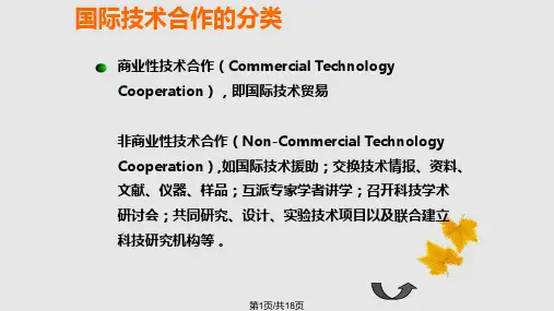 国际合作案例国际经济合作