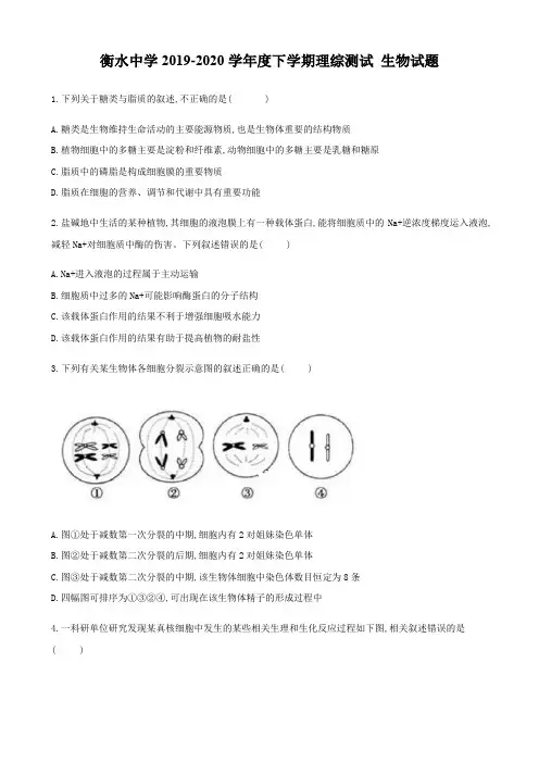 河北省衡水中学2019—2020学年度高三下学期理综测试 生物试题