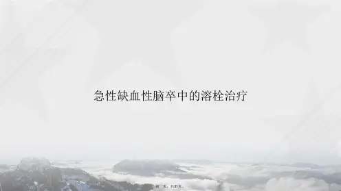 急性缺血性脑卒中的溶栓治疗讲课文档