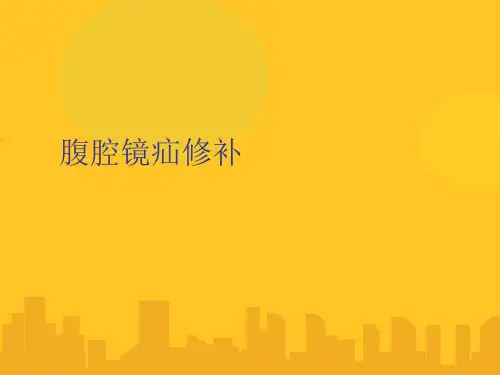【优】腹腔镜疝修补PPT资料