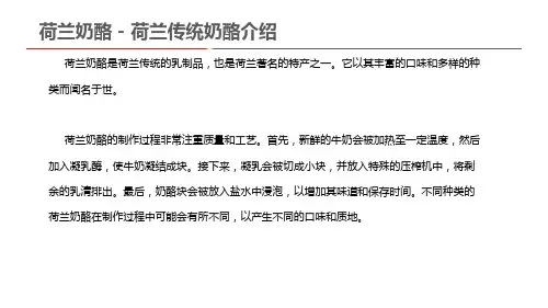 荷兰奶酪 - 荷兰传统奶酪介绍