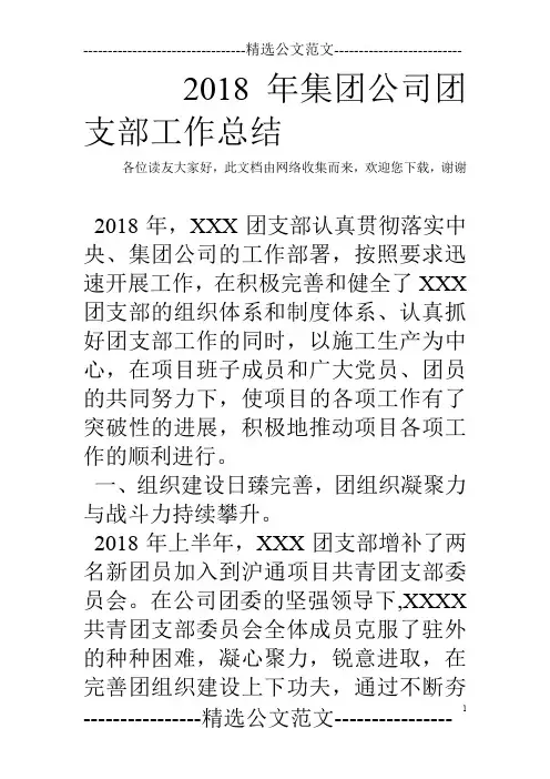 2018年集团公司团支部工作总结